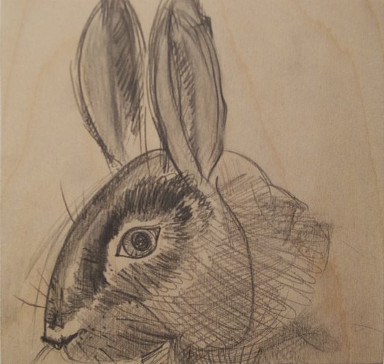 Image of “Rabbit Attends P.S. 3”