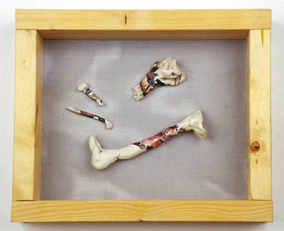 Image of &8211;Evolution— clay, Polaroid transfer